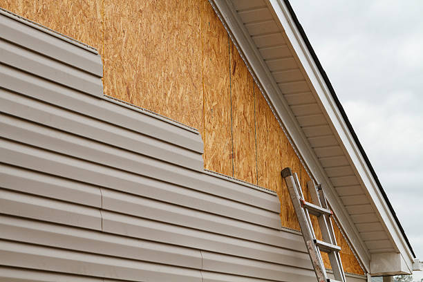 Professional Wood Siding technician working in Maysville, NC